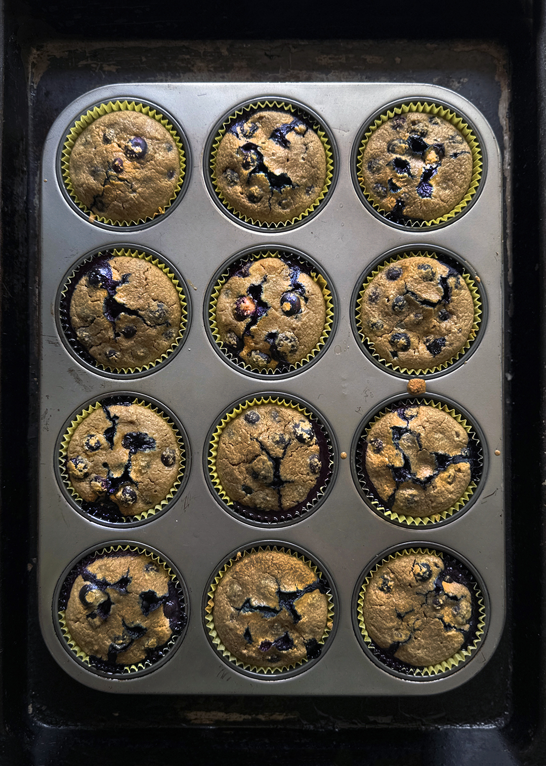 Blueberry Muffin Baked Oatmeal baked in muffin tins