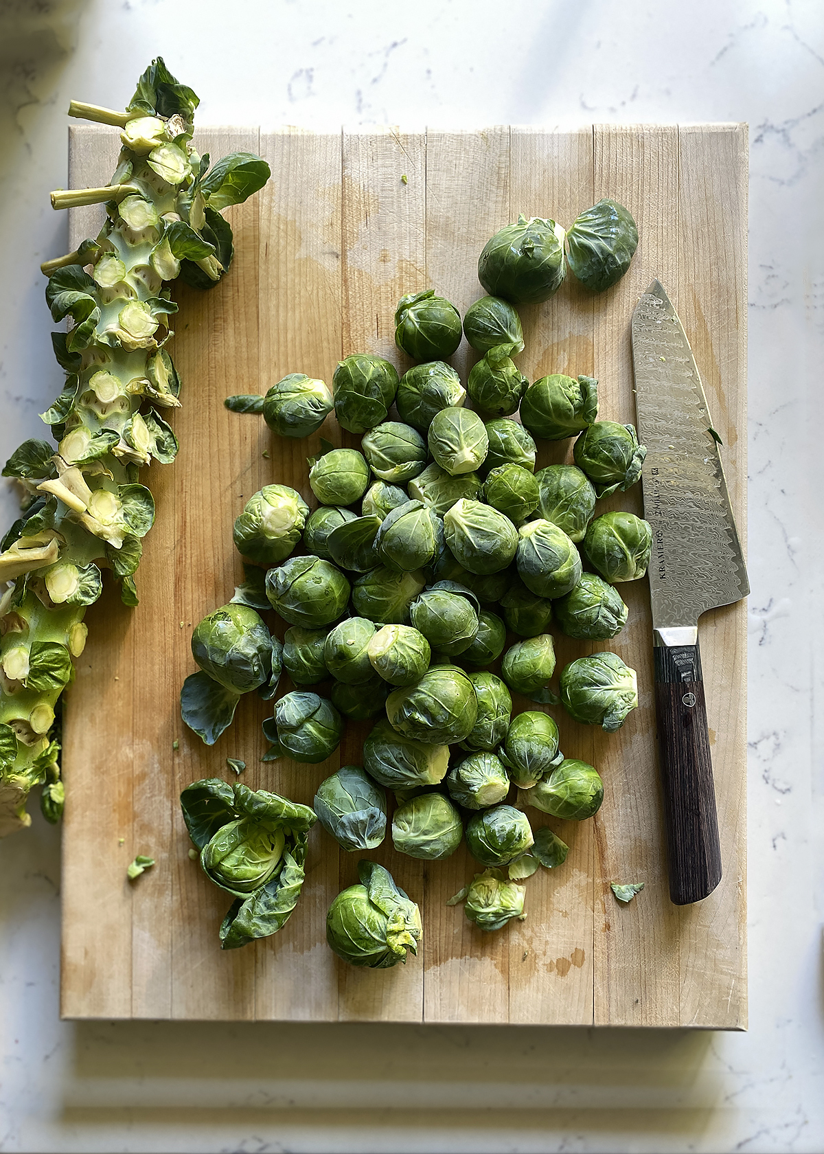 brussels sprouts on stalk