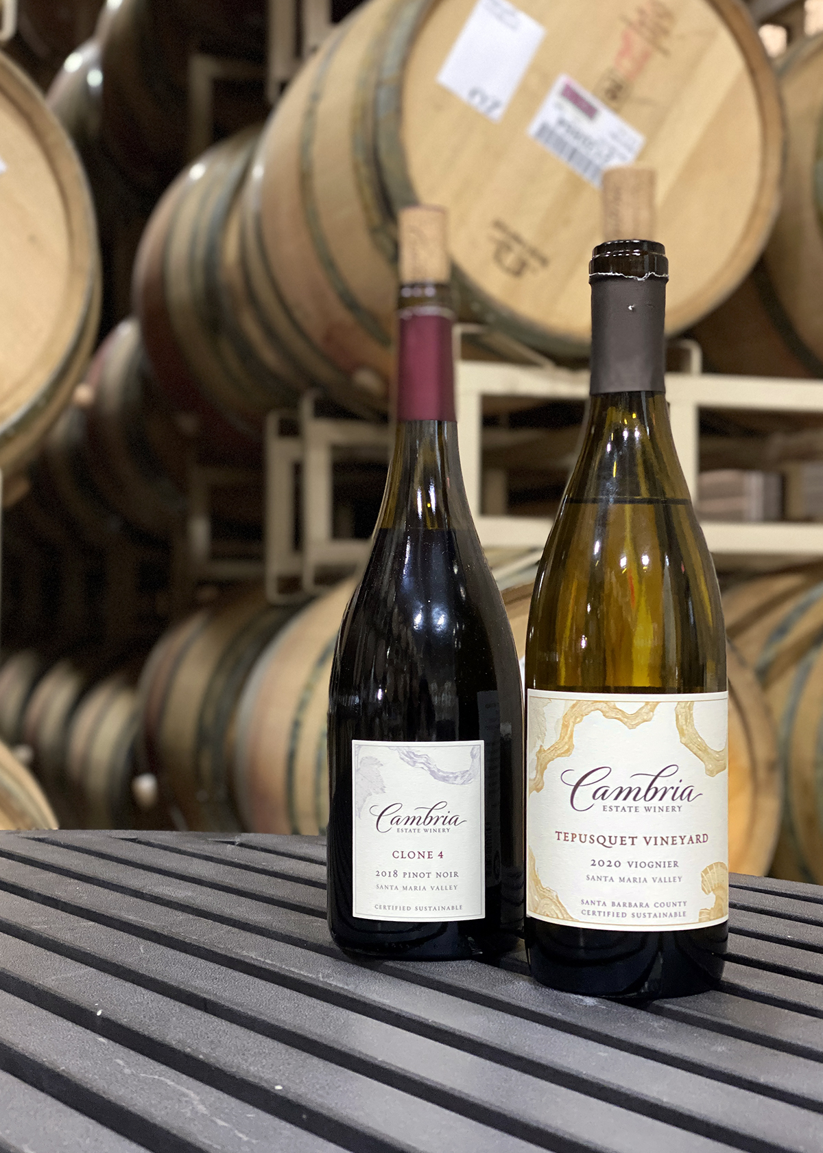 Cambria Wines, estate tasting