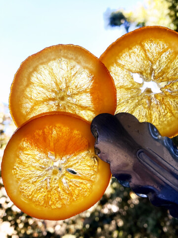 candied oranges see through