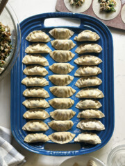 mandu korean dumplings folded on blue tray