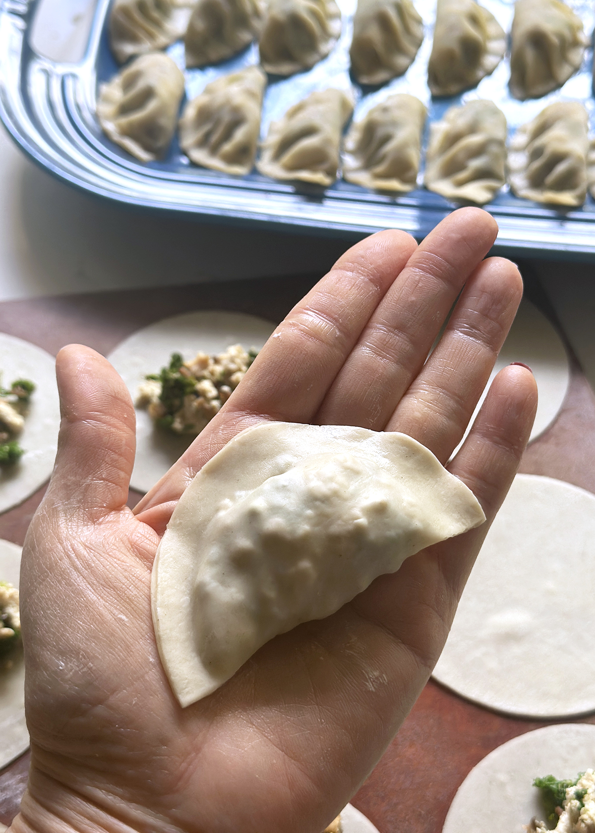 mandu korean dumpling folded in hand