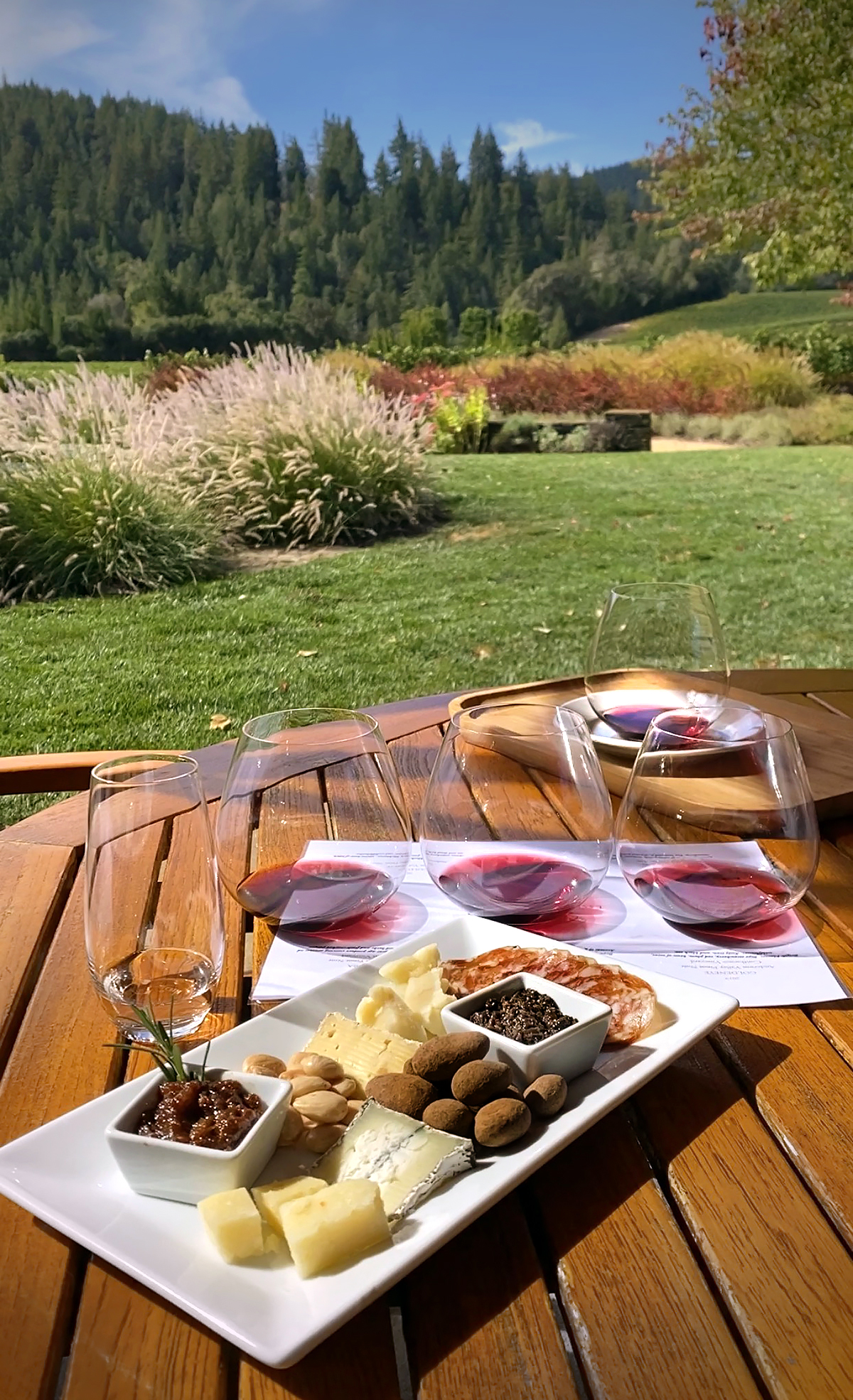 goldeneye winery pinot noir tasting anderson valley view
