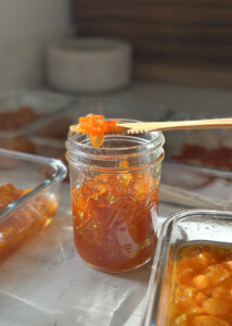 candied kumquats