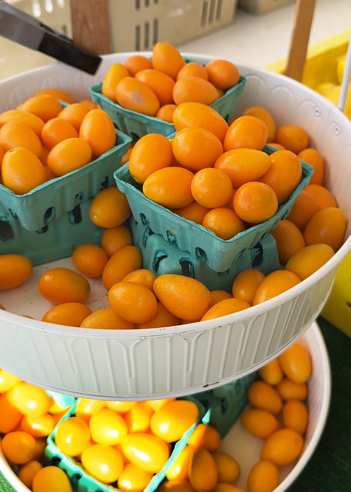 kumquats at farmers market