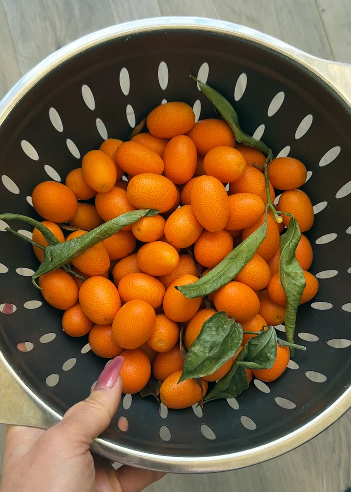 kumquats in colander to wash