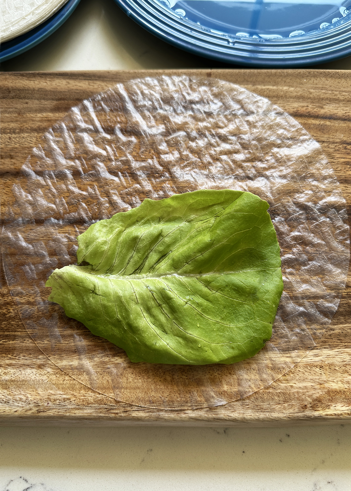 lettuce on rice paper
