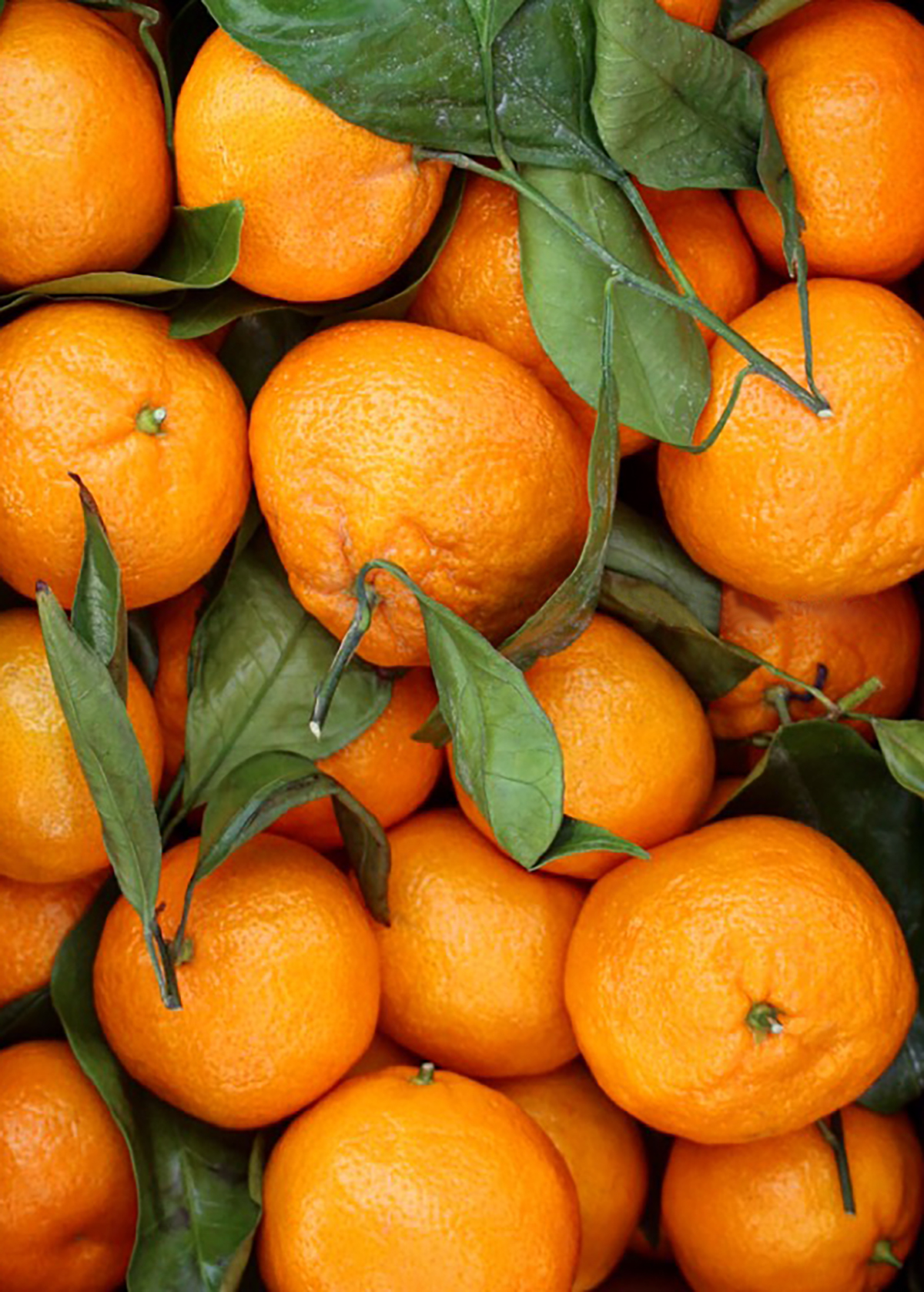 mandarin oranges with stem and leaf