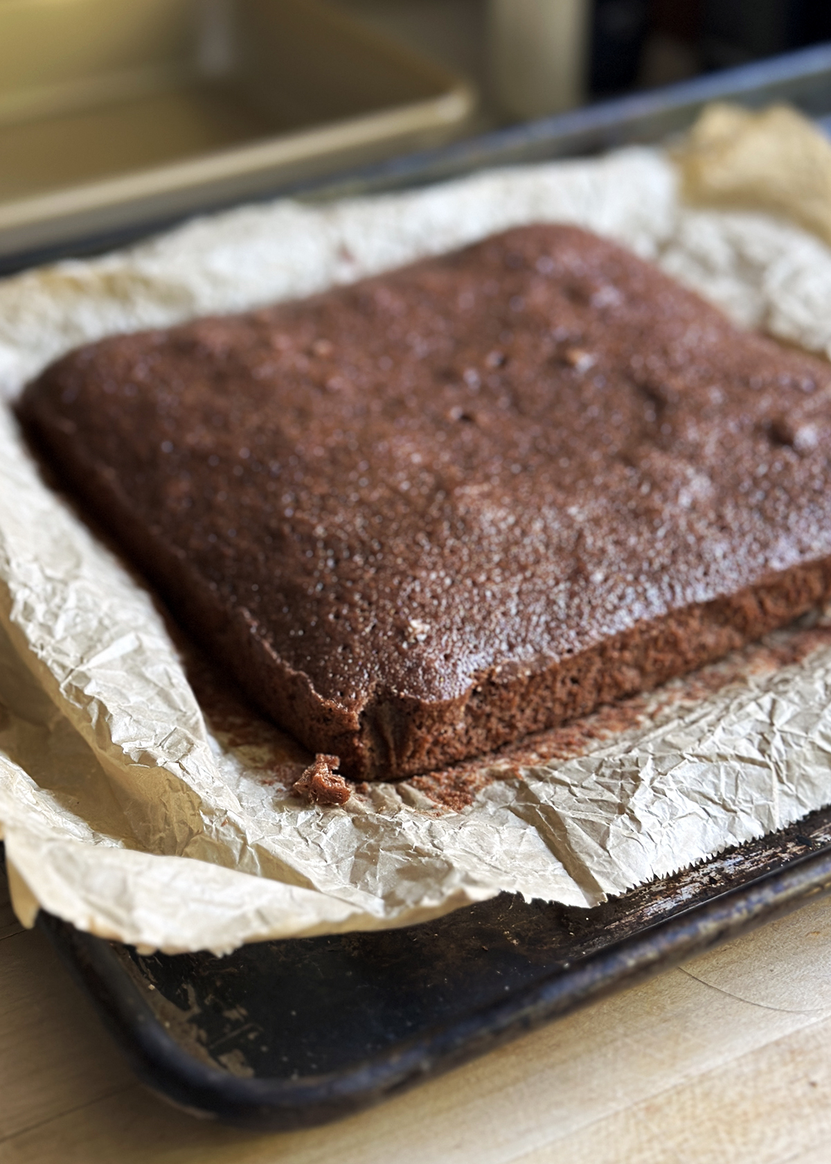 olive oil brownies cooling out of pan on rack
