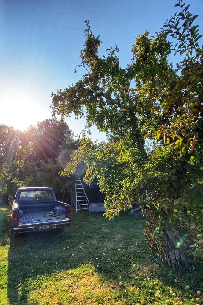 philo apple farm , orchard