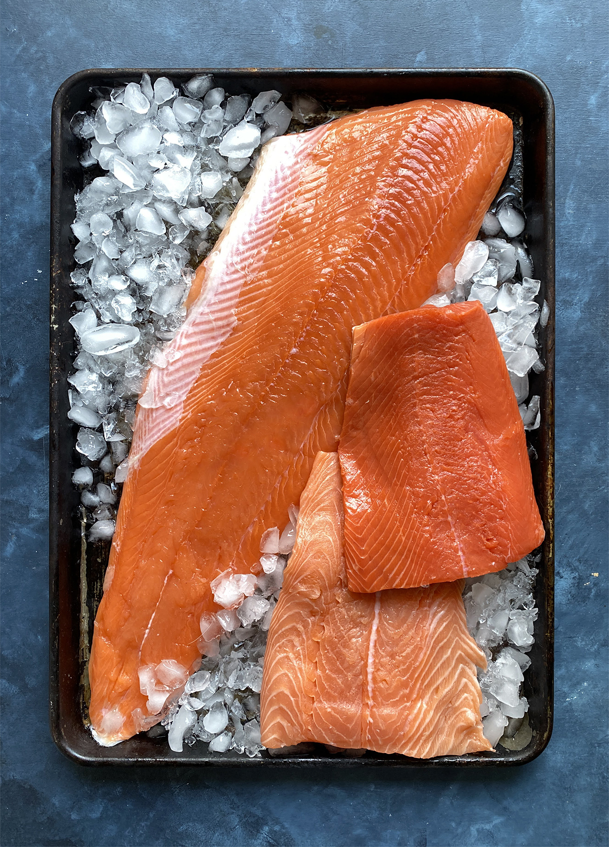 king, sockeye and atlantic salmon types for comp